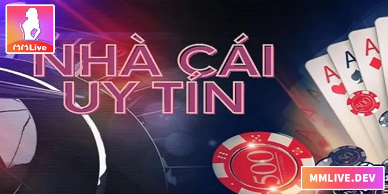 Đánh giá độ uy tín và sự thật về việc MMLIVE có lừa đảo